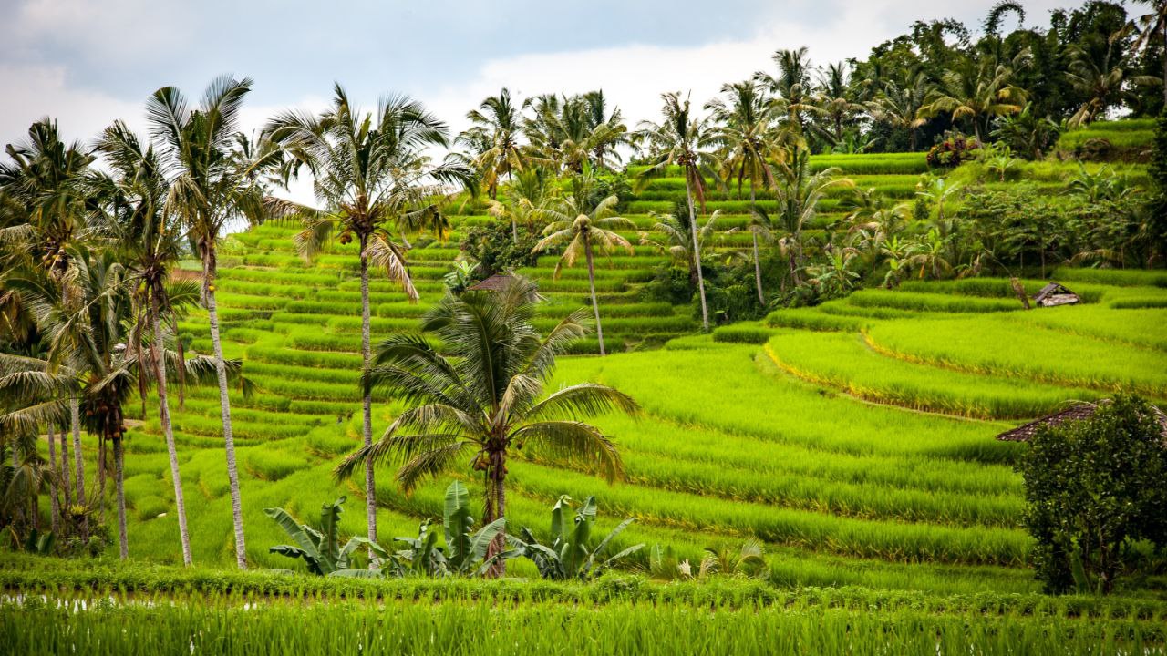 Temple in Bali